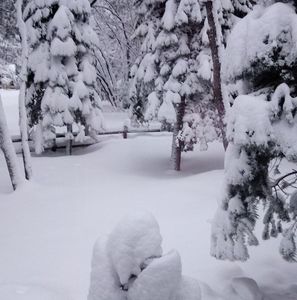 Meet your Posher, Irma